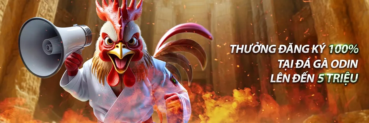 Hình ảnh Chính sách Cookie 247asia thể hiện sự minh bạch và bảo mật dữ liệu người dùng