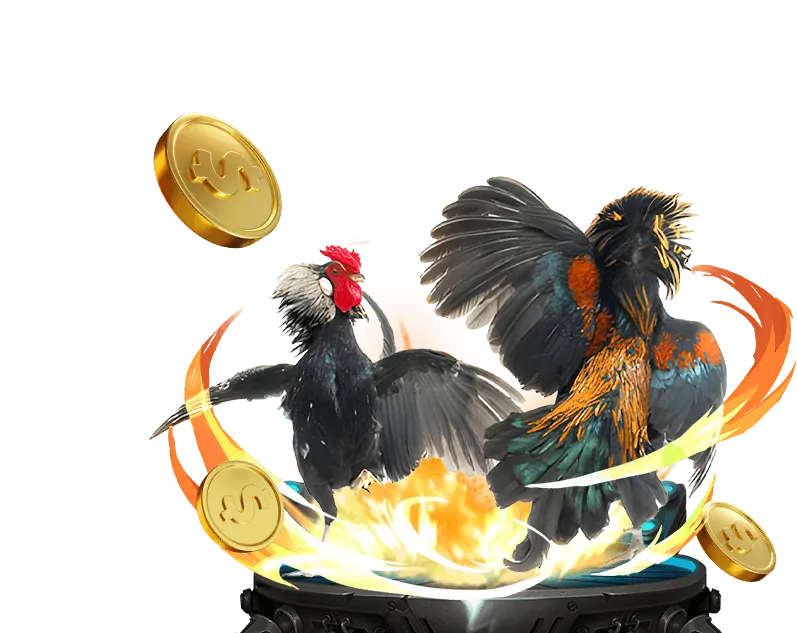 Phát trực tiếp và tương tác